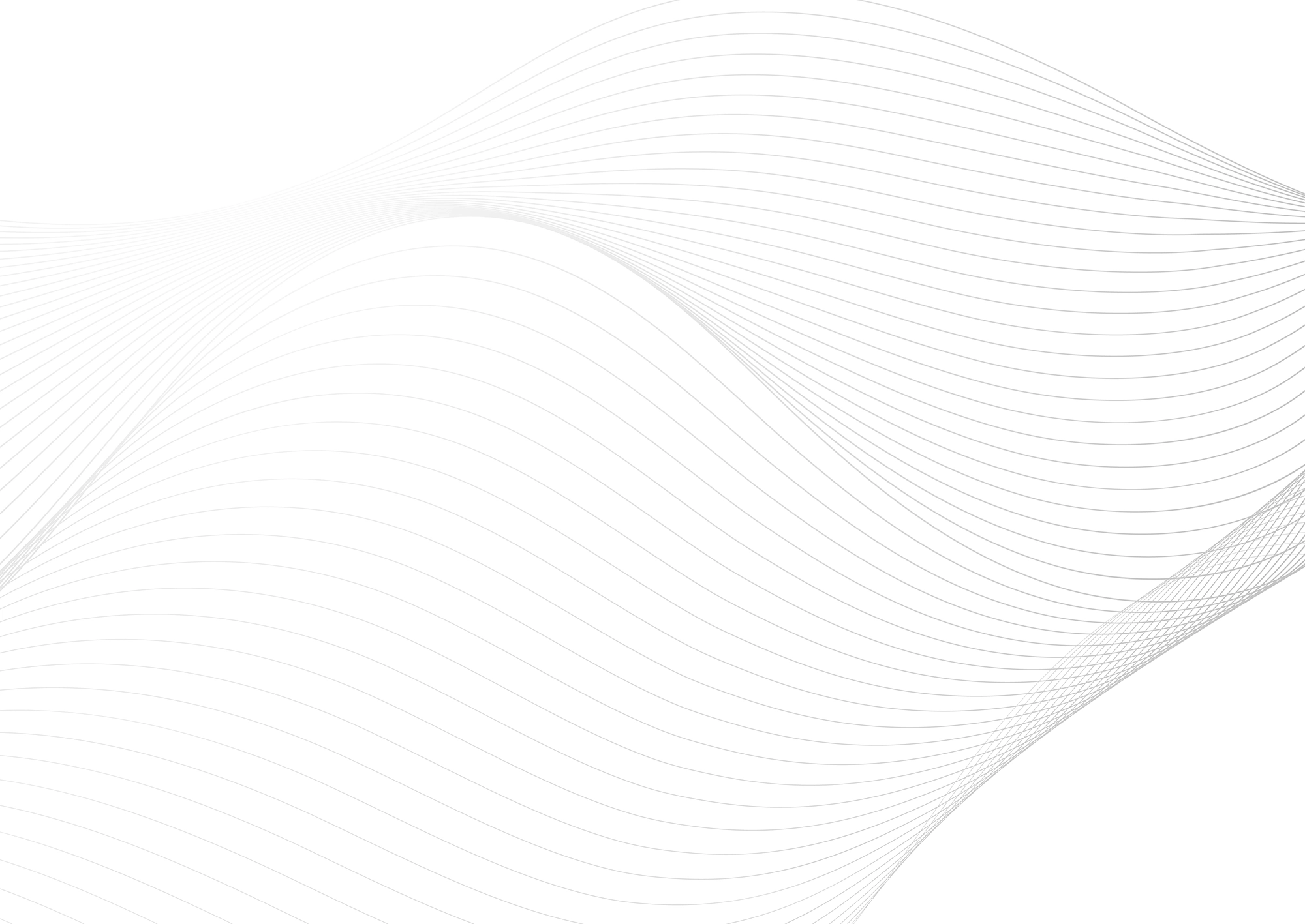 Web Site Tasarımcısı, Denizli